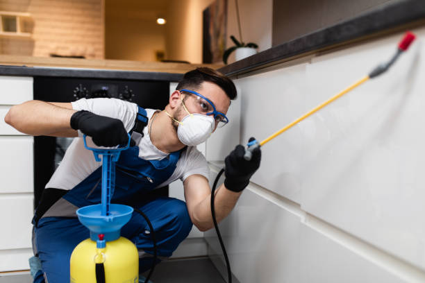 Best Affordable Exterminators  in Chico, TX