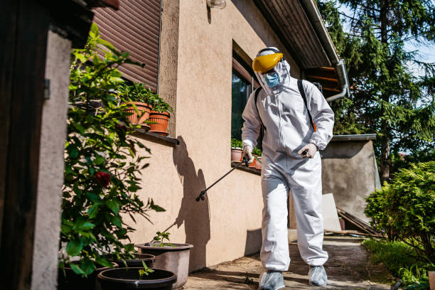 Best Bird Control  in Chico, TX