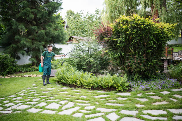 Best Commercial Pest Control Services  in Chico, TX
