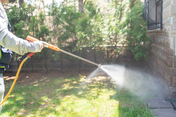Best Best Pest Control Companies  in Chico, TX